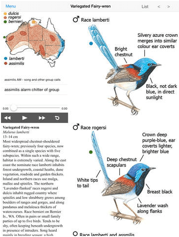 Field Guide To Australian Birds