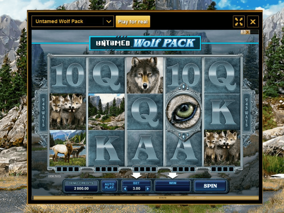 Untamed Wolf feature